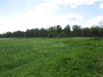 Памятное место, где 26 июня 1905 г. состоялось антипомещичье собрание крестьян