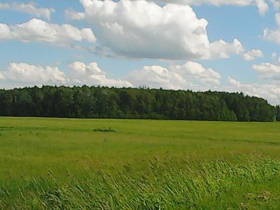 Священная роща