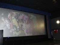 Дом кино и досуга