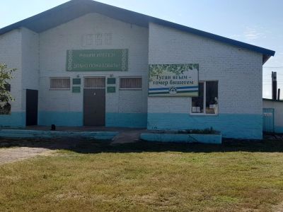 Нижнеуслинская сельская библиотека