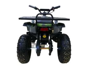 Электроквадроцикл MOTAX Grizlik X16 New E1000