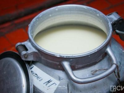 Производителям молока в Якутии направят субсидии до 13 марта