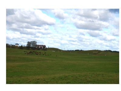 Научный городок физиолога И.П. Павлова на Колтушской возвышенности и Колтушское шоссе (часть)