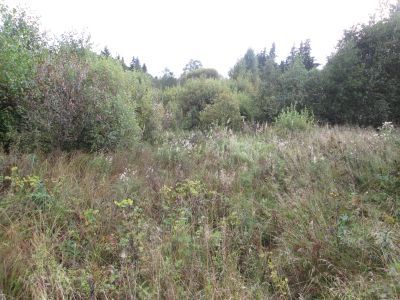 Памятное место, где в 1942 г. в бою с карательным отрядом гитлеровцев погибла группа партизан во главе с Аркадием Сонцовым