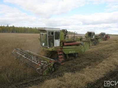 В Якутии зафиксирован рекордный рост урожайности за 20 лет