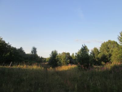 Памятное место, где в январе 1943 г. гитлеровцы расстреляли 28 жителей деревни за связь с партизанами. Деревня сожжена