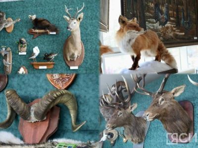 В Якутске открылась выставка трофеев «Охота и охотничьи традиции»