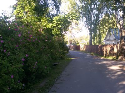 Деревня Глазова. Сохранившаяся историческая планировка с прудом