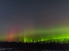 Арктическая автоэкспедиция "Индигирка". Якутск – Оймякон – Чокурдах – Русское Устье