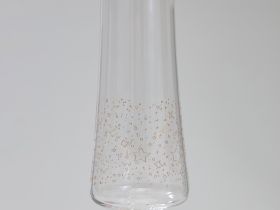 Бокал для шампанского Universe