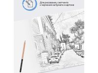 Набор карандашей чернографитных Гамма 12 шт, 5B-5H, картон. упаковка, европодвес