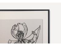 Картина Ирис-1 Графика 20x30