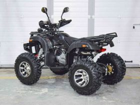 Квадроцикл GRIZZLY 200