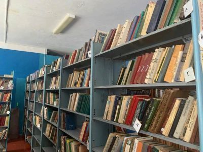 Козяково-Челнинская сельская библиотека