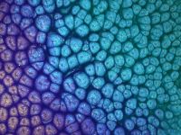 Краска Pebeo "Fantasy Prisme" Калейдоскоп 45 мл с фактурным эффектом