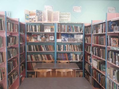 Малоничкинская поселенческая библиотека