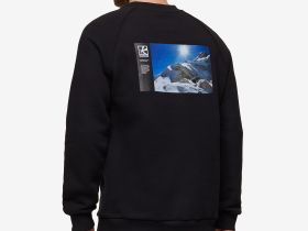 Толстовки BASK