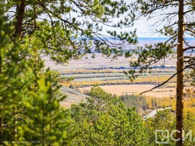 В Верхоянском районе обнаружили черепа и кости древних животных