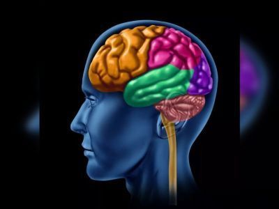 В России создали вещество для восстановления после травм мозга