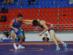 Определены финалисты всероссийского турнира по вольной борьбе Александра Крылова