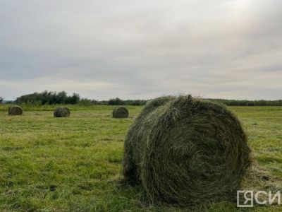 В Якутии заготовлено 90 тысяч тонн кормов и скошено 105 тысяч га сенокосных угодий