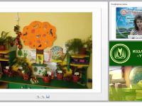 Как организовать зону природы в ДОО: методический инструментарий для воспитателей