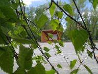 Парк имени 40 лет ВЛКСМ