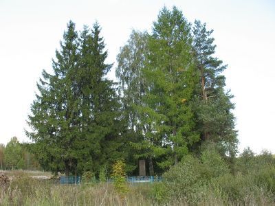 Братское захоронение советских воинов, погибших в 1941-44 гг.