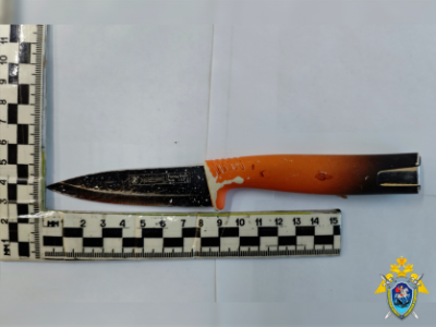 Направлено в суд уголовное дело для применения принудительных мер медицинского характера в отношении мужчины, уличенного  в причинении тяжкого вреда здоровью, повлекшем смерть потерпевшего