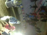 Центр «Истоки»