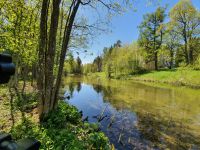 Усадьба Демидовых в Тайцах