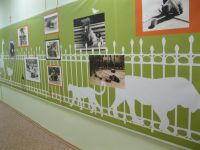 Детская библиотека им. Веры Чаплиной