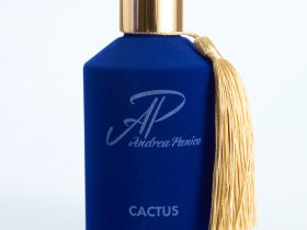 Диффузор Cactus 180 мл