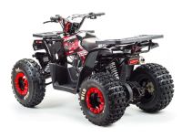 Квадроцикл MOTOLAND Wild 150