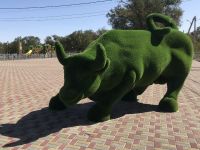 Социально-культурный центр с. Летняя Ставка