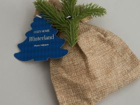 Мыло твердое Зимняя страна/Winterland