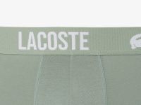 Мужское нижнее бельё Lacoste