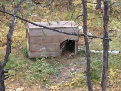 Два по цене одного: в зоопарке «Орто Дойду» действует акция для школьников и студентов