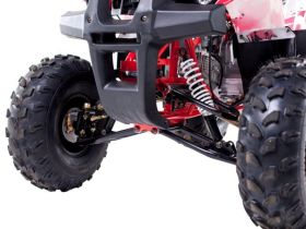 Квадроцикл WELS Thunder 125 Basic