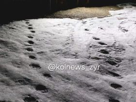 Фотофакт: в Верхнеколымском районе медведь вышел из зимней спячки раньше срока