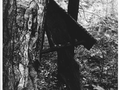 Северо-западное скитское кладбище