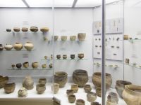 Новосибирский государственный краеведческий музей