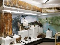 Сосновский районный историко-краеведческий музей