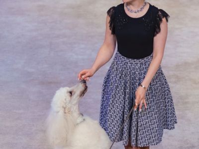 Дорога - длиною в век