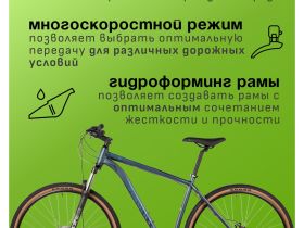 Горный велосипед Stinger Element 29, год 2025, цвет Синий, ростовка 20