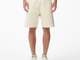 Мужские хлопковые шорты Lacoste