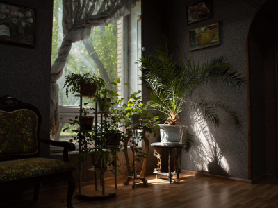 Библиотека № 61 (ул. Верхоянская)