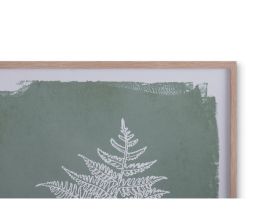 Картина Ботаник Папоротник Зеленый 40x50