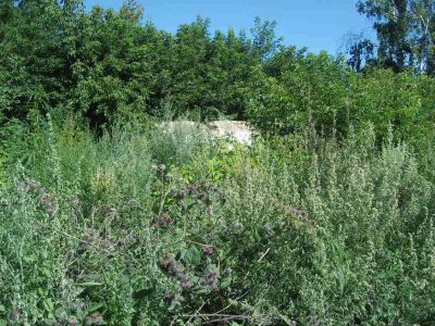 Памятник  погибшим в годы Великой Отечественной войны (1941-1945 гг.)