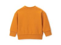 Свитшот для маленького мальчика